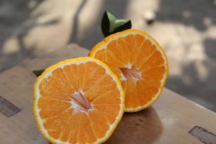京聪商城四川不知火 俗称丑橘和丑八怪 新鲜水果 买6斤赠2斤，3月5日23:00截止总代理批发